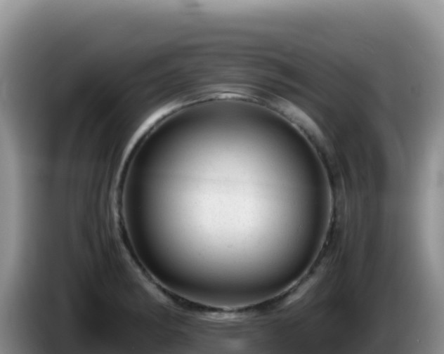X0000086261182200704051256