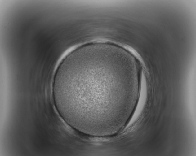X0000086261183200704051256