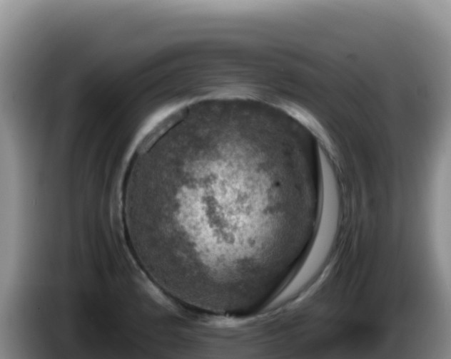 X0000086261184200704051256