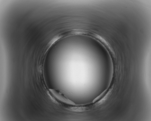 X0000086261185200704051256