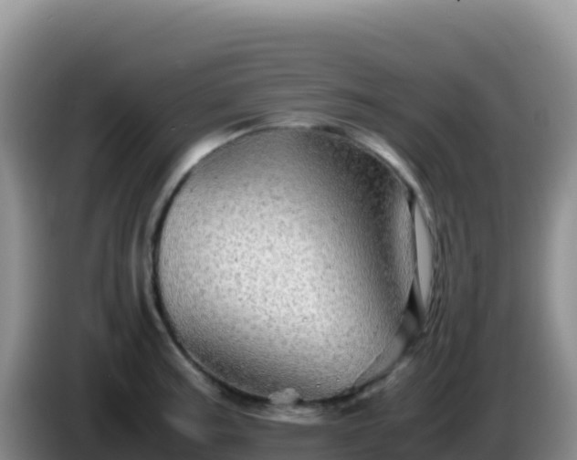 X0000086261187200704051256