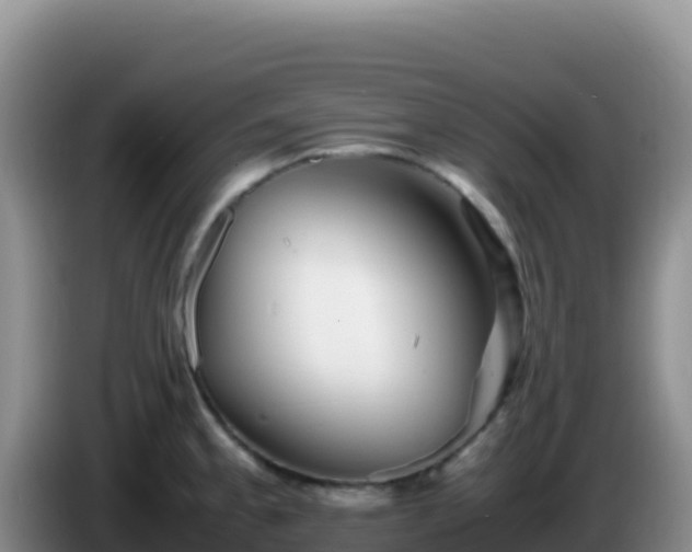 X0000086261189200704051256