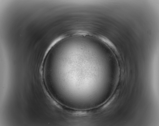 X0000086261190200704051256