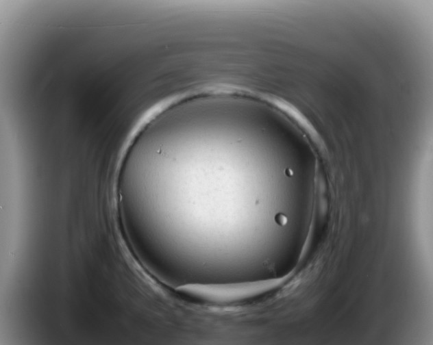 X0000086261191200704051256