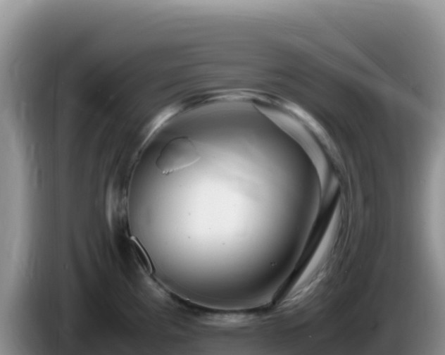 X0000086261193200704051256