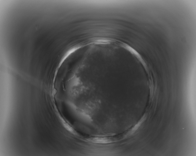 X0000086261194200704051256