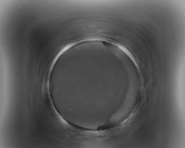 X0000086261197200704051256