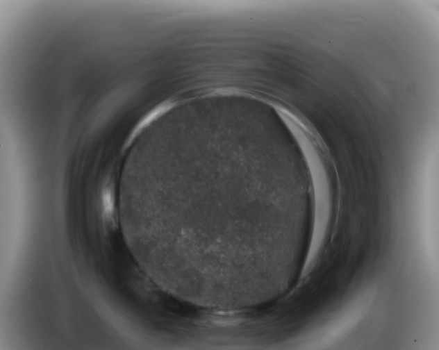 X0000086261198200704051256