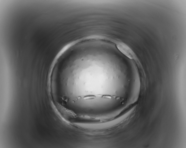 X0000086261199200704051256