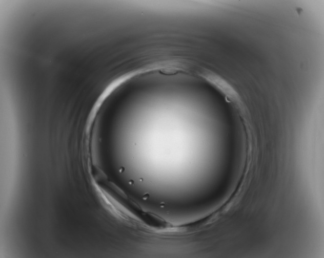 X0000086261200200704051256