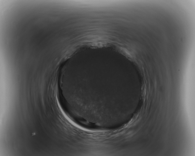 X0000086261202200704051255