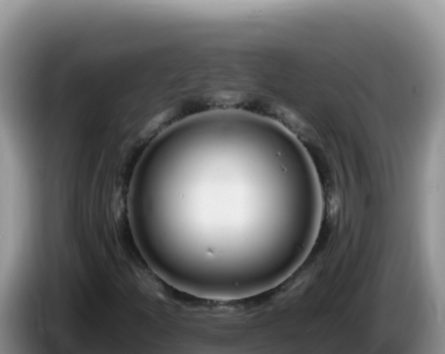 X0000086261204200704051255