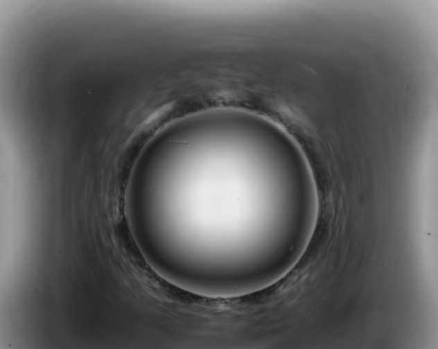 X0000086261205200704051255