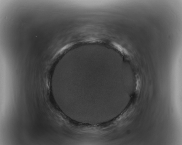 X0000086261206200704051255