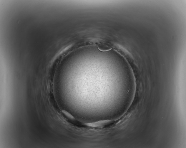 X0000086261207200704051255