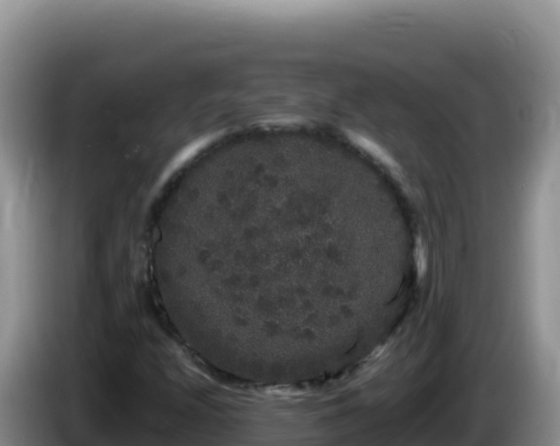 X0000086261208200704051255