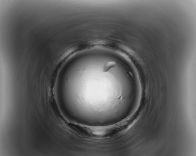 X0000086261209200704051255