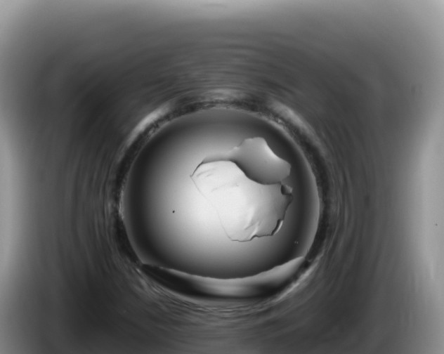 X0000086261210200704051255
