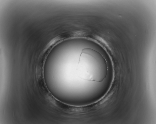 X0000086261211200704051255