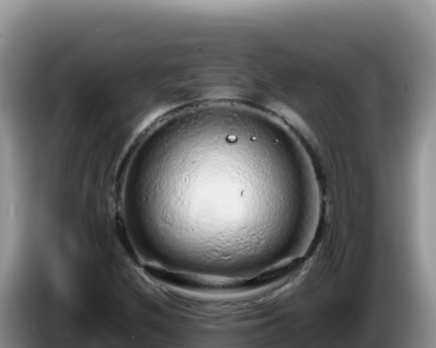 X0000086261212200704051255