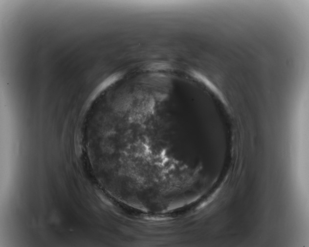 X0000086261213200704051255