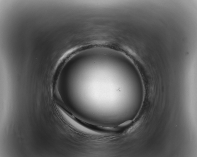 X0000086261214200704051255