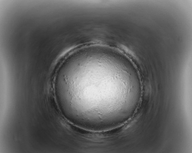 X0000086261215200704051255