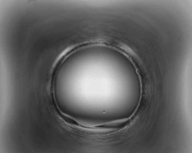 X0000086261216200704051255