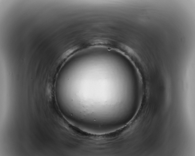 X0000086261217200704051255