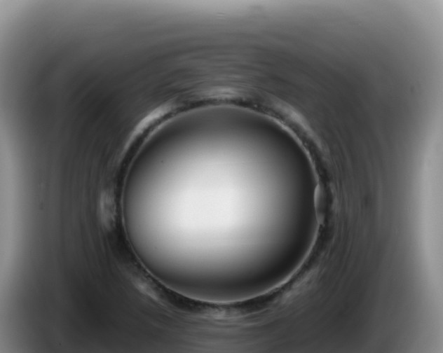 X0000086261218200704051255