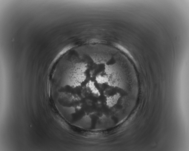 X0000086261219200704051255