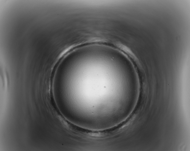 X0000086261220200704051255