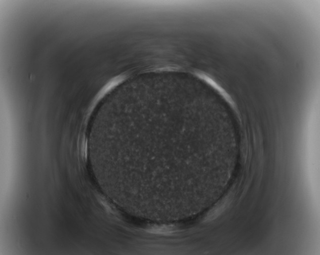 X0000086261221200704051255