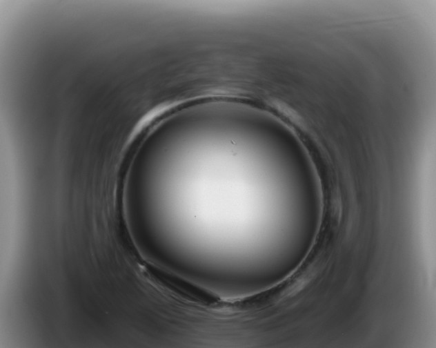 X0000086261222200704051255