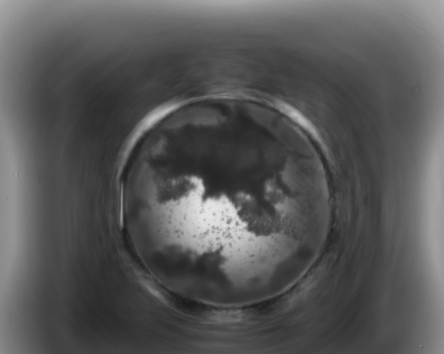 X0000086261223200704051255