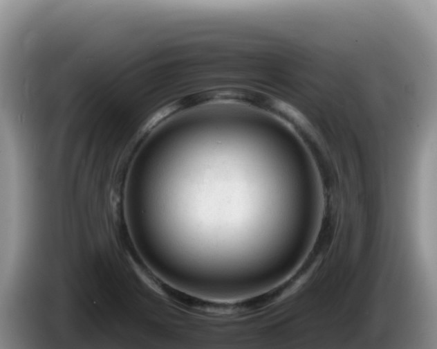 X0000086261225200704051255