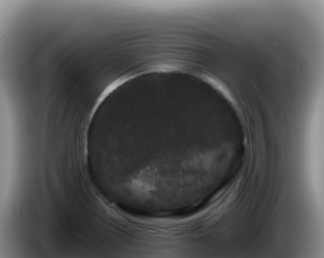 X0000086261226200704051255