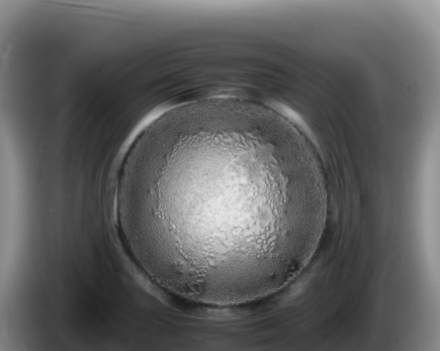 X0000086261227200704051255