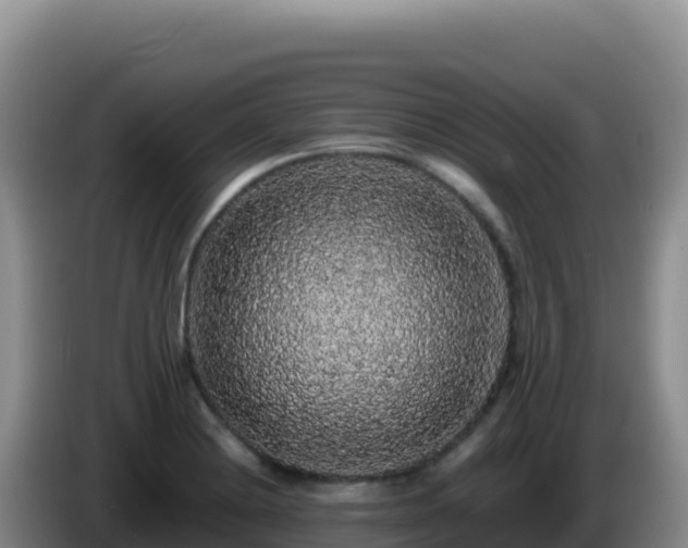 X0000086261228200704051255