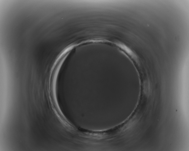 X0000086261229200704051255