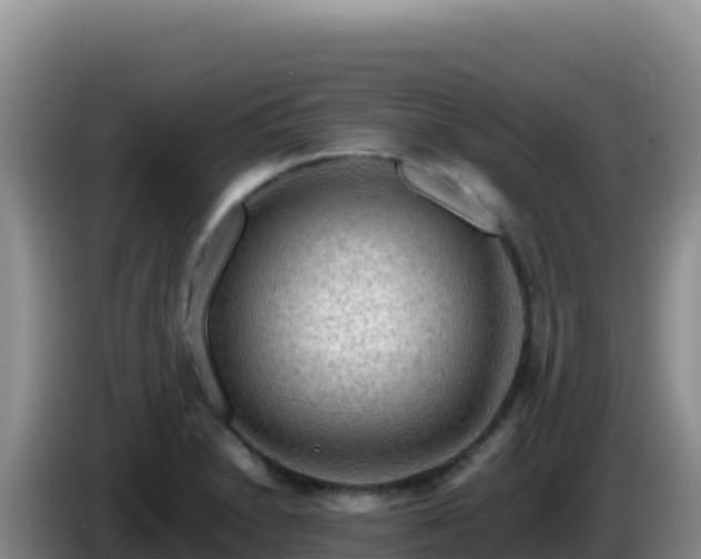 X0000086261230200704051255