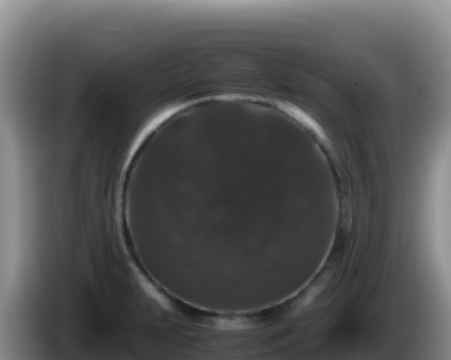 X0000086261231200704051255