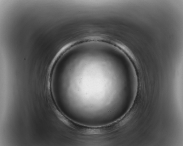 X0000086261232200704051255