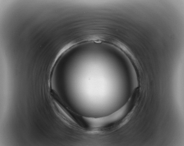 X0000086261234200704051255