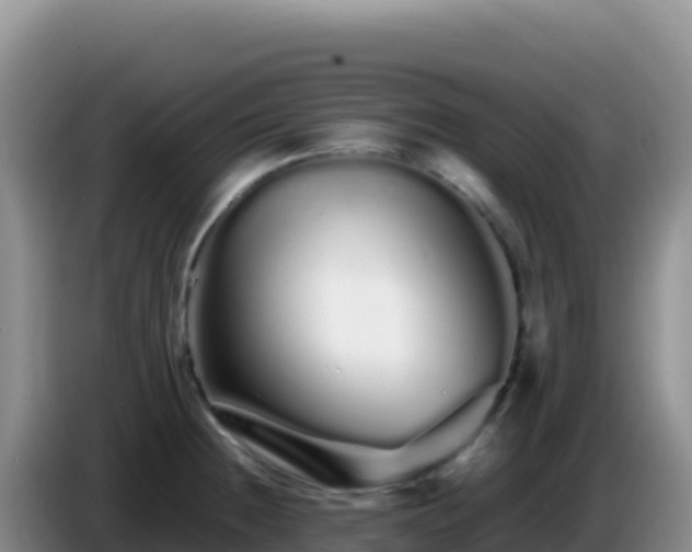 X0000086261236200704051255