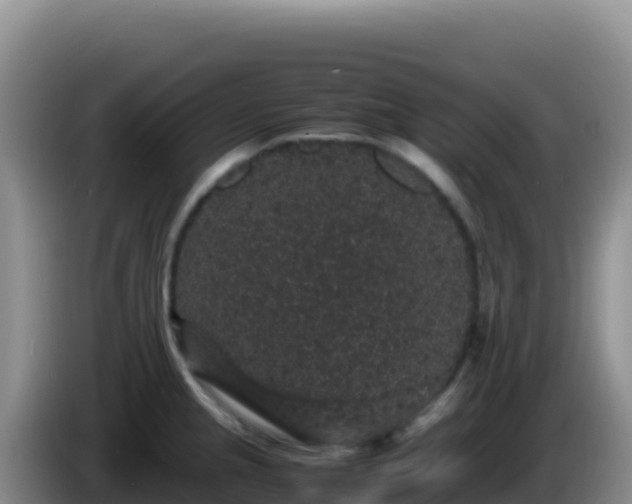 X0000086261237200704051255