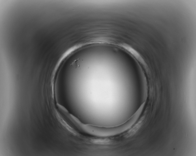 X0000086261238200704051255