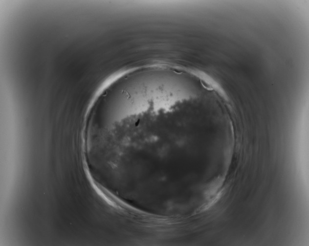 X0000086261239200704051255