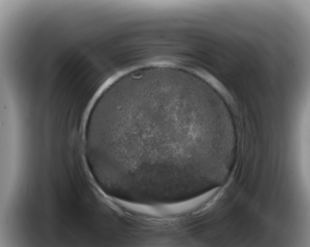 X0000086261240200704051255