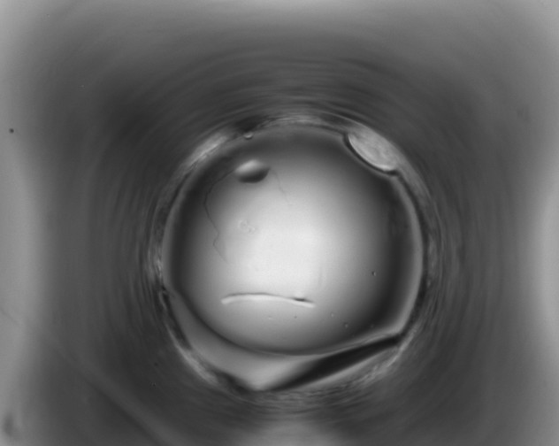 X0000086261241200704051255